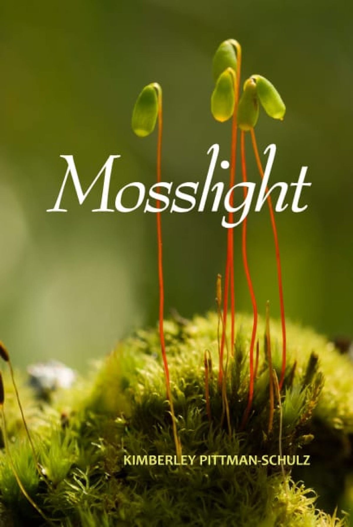 Mosslight by Kimberley Pittman-Schulz