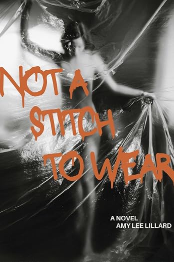 Not a Stitch to Wear by Amy Lee Lillard