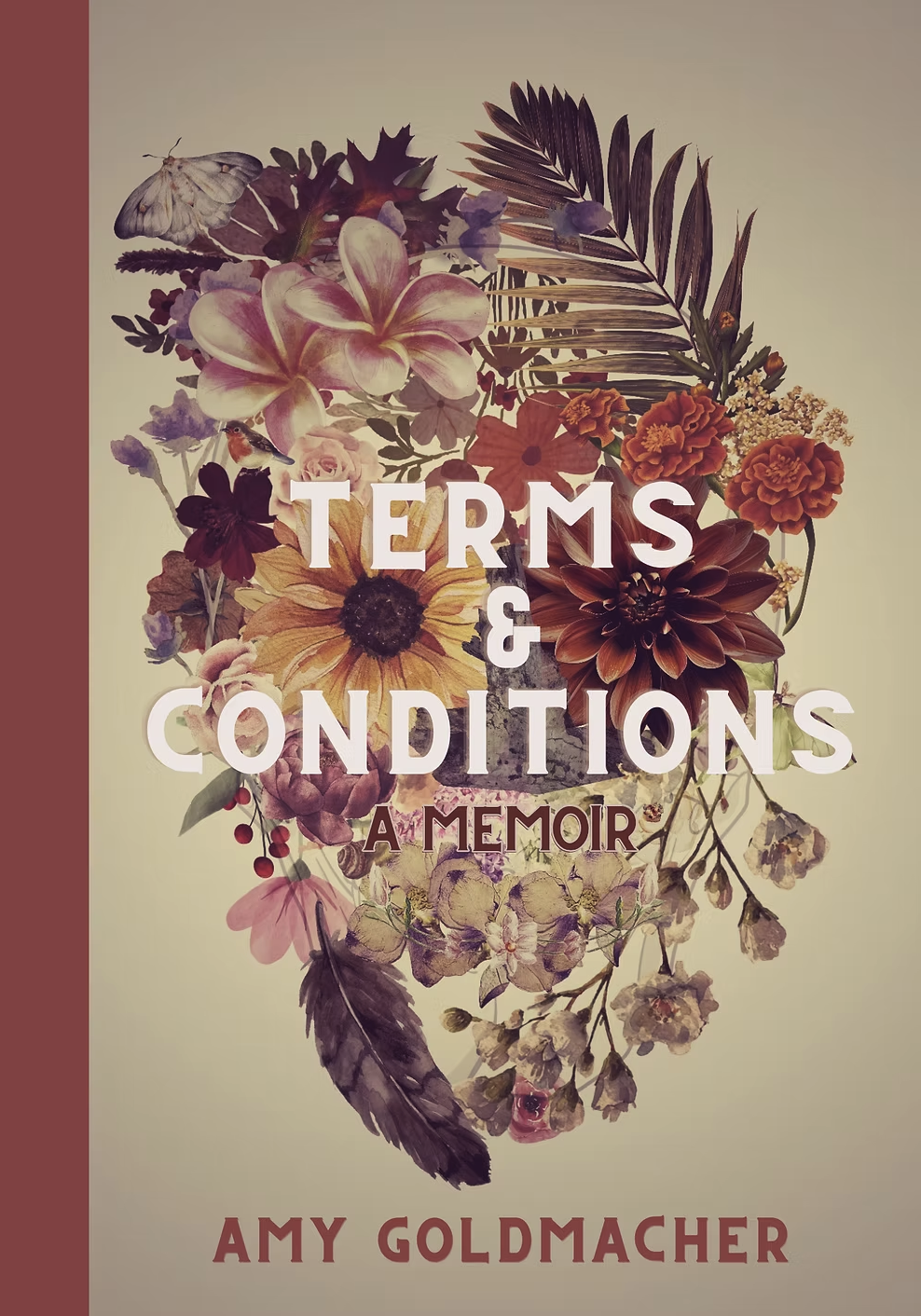 Terms & Conditions by Amy Goldmacher